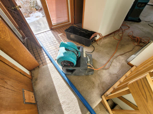 Best Emergency water damage restoration  in Ak Chin Village, AZ