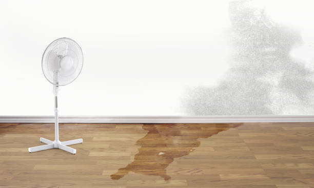 Best Water damage restoration near me  in Ak Chin Village, AZ