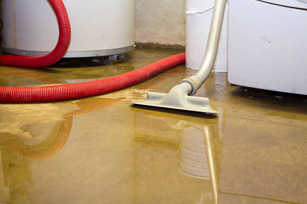 Best Sewage cleanup and water damage restoration  in Ak Chin Village, AZ