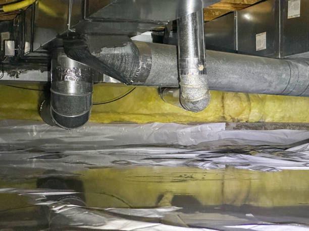 Best Sewage cleanup and water damage restoration  in Ak Chin Village, AZ