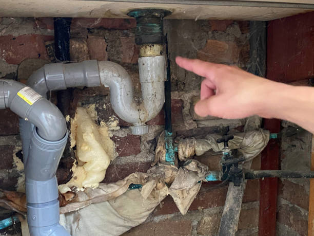 Best Mold removal after water damage  in Ak Chin Village, AZ
