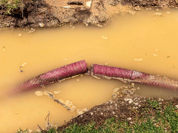 Water damage restoration experts in Ak Chin Village, AZ